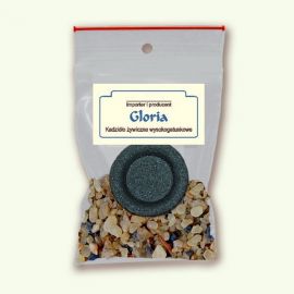 Gloria - pakiet jednorazowy - KADZIDŁA, WĘGIELKI