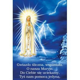 Plakat – Maryja - Plakaty adwentowe