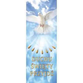Baner - Duchu Święty Przyjdź - Zesłanie Ducha Świętego