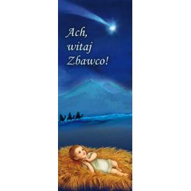 Baner Bożonarodzeniowy -  2021