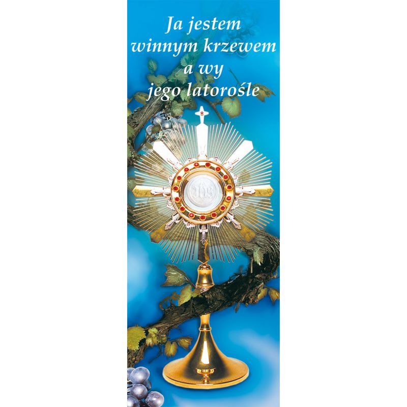Baner Boże Ciało (21) - Baner Boże Ciało (21)