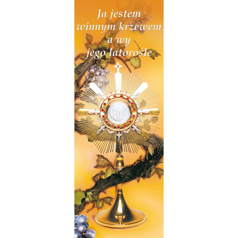 Baner Boże Ciało (22) - Baner Boże Ciało (22)