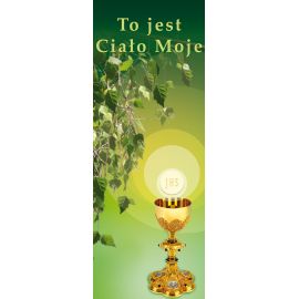 Baner Boże Ciało (25)