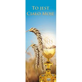 Baner Boże Ciało (34)