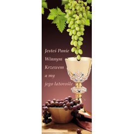 Baner Boże Ciało (40)