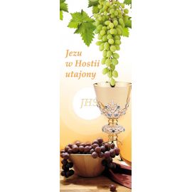 Baner Boże Ciało (63)