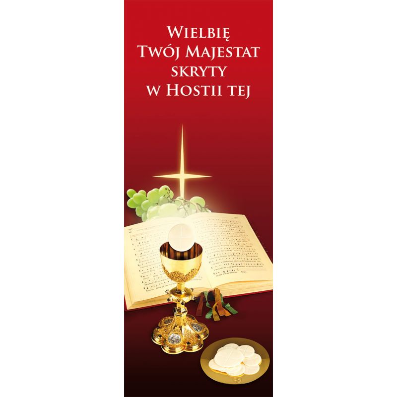 Baner Boże Ciało (45) - Baner Boże Ciało (45)