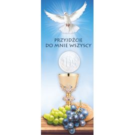 Baner Boże Ciało (61)